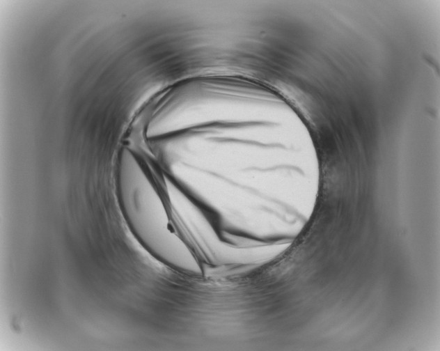 X0000097951476200804211023