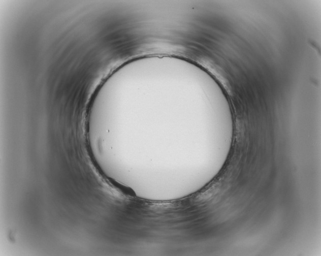 X0000097951477200804211023