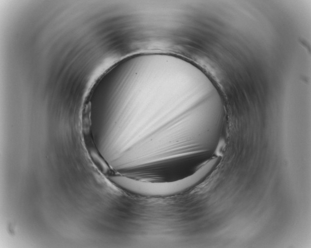 X0000097951480200804211023