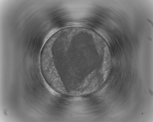 X0000097951482200804211023