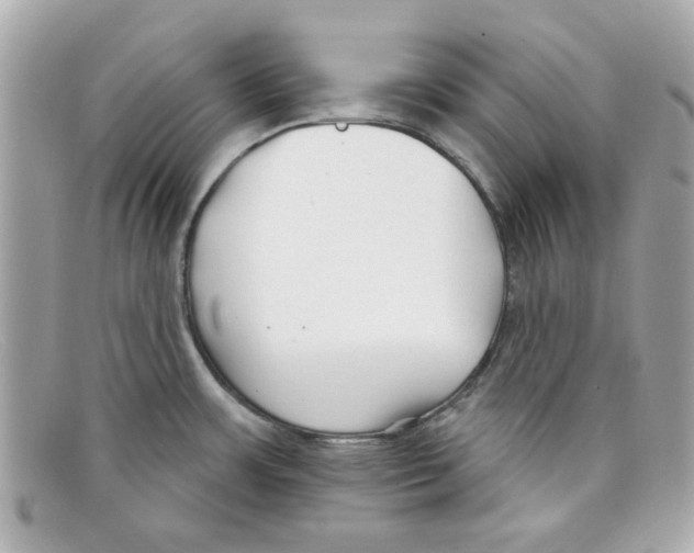X0000097951483200804211023