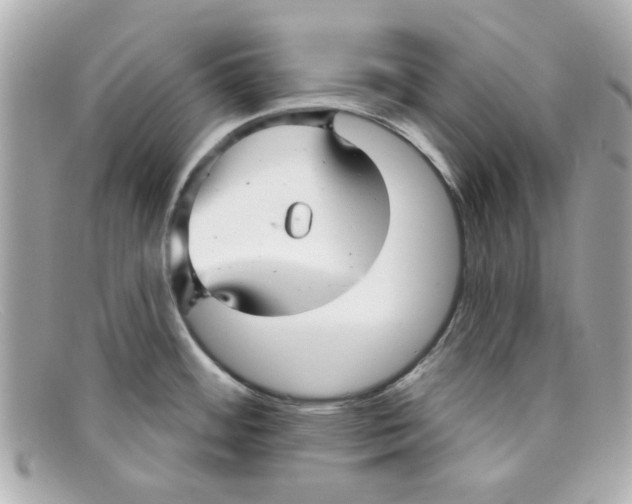 X0000097951484200804211023