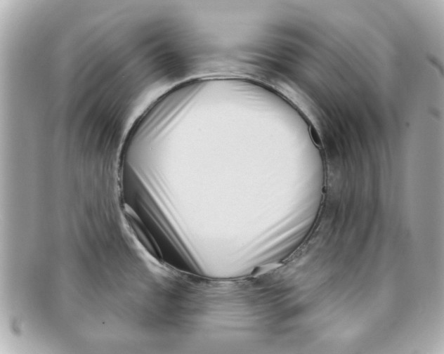 X0000097951485200804211023