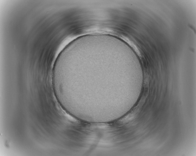 X0000097951486200804211023