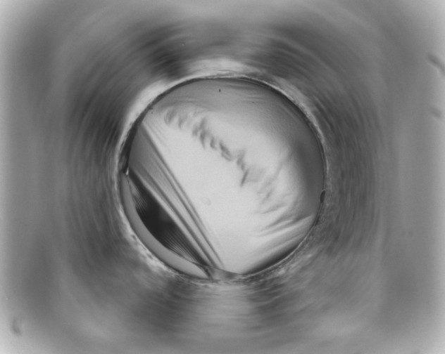 X0000097951488200804211023
