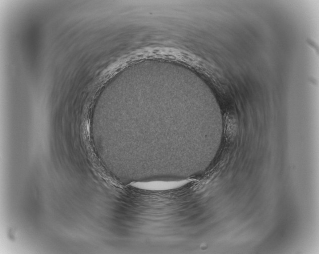X0000097951489200804211022