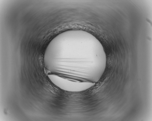 X0000097951490200804211022
