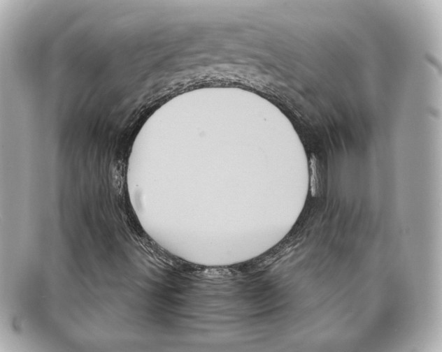 X0000097951491200804211022