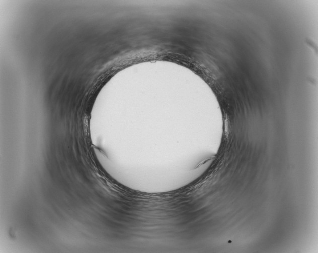 X0000097951492200804211022