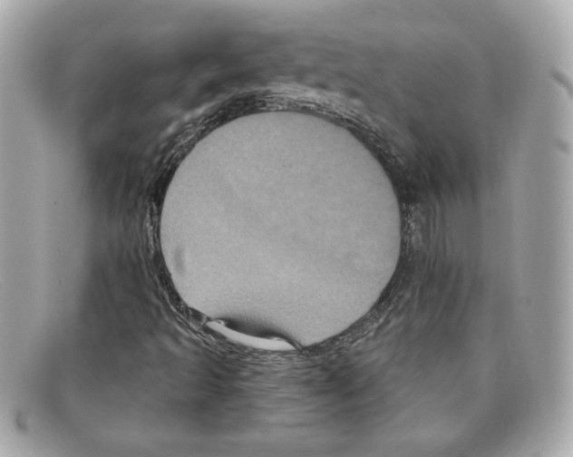 X0000097951493200804211022
