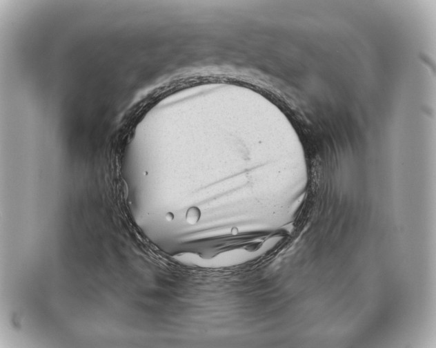 X0000097951494200804211022