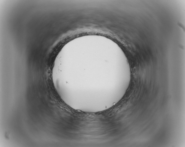 X0000097951495200804211022