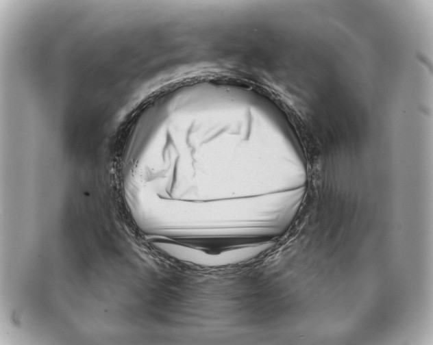 X0000097951496200804211022