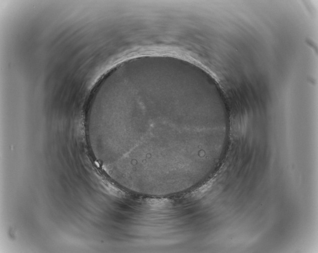 X0000097951498200804211022