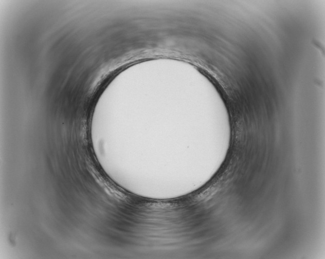X0000097951499200804211022