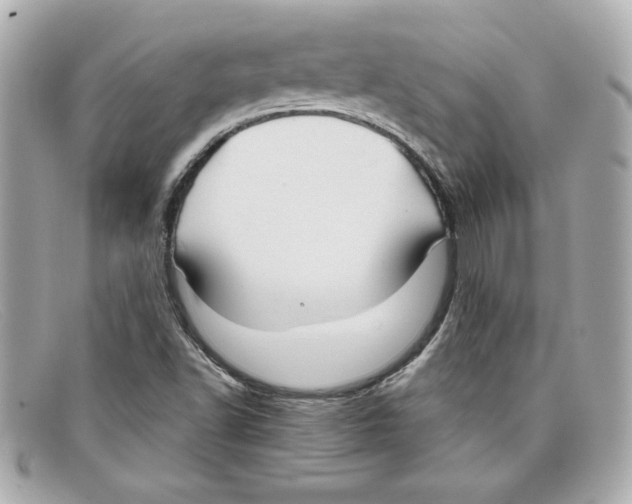 X0000097951502200804211022