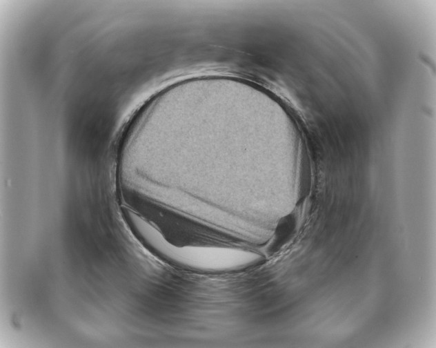 X0000097951504200804211022