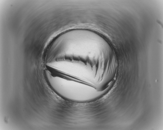 X0000097951506200804211022