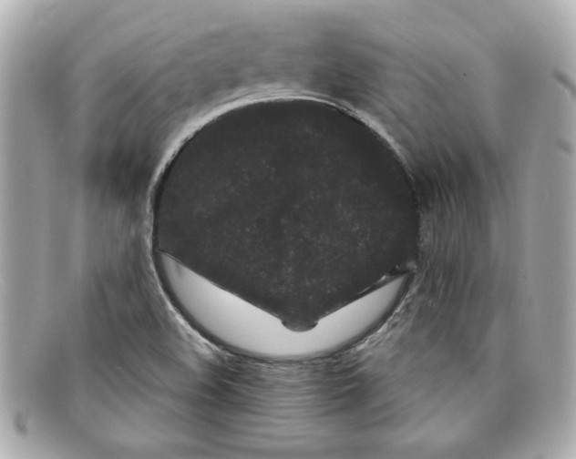 X0000097951508200804211022