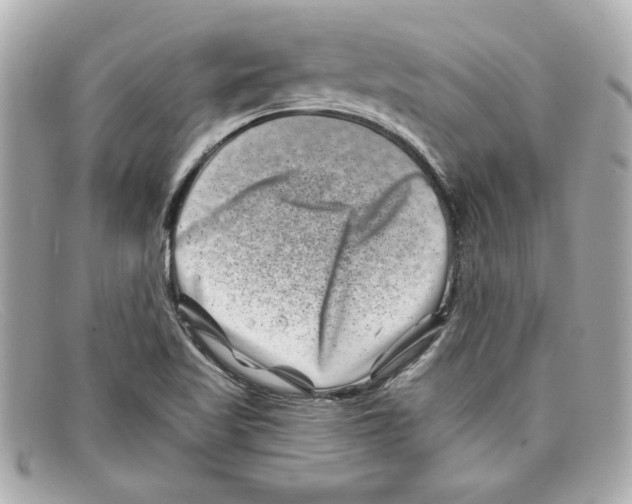 X0000097951509200804211022
