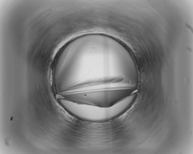 X0000097951510200804211022