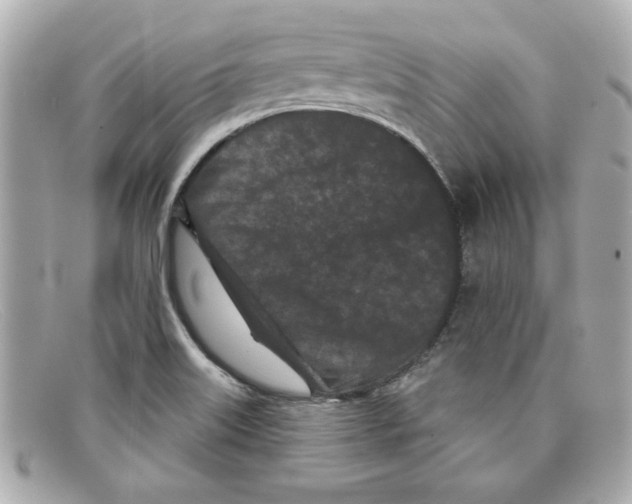 X0000097951515200804211022