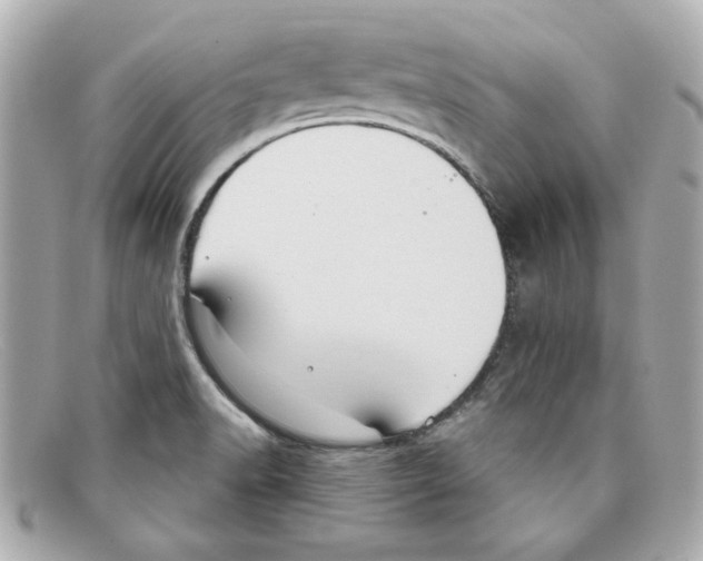 X0000097951518200804211023