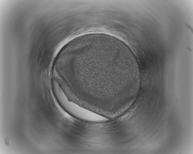 X0000097951519200804211023