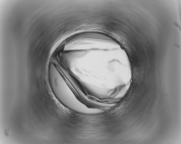 X0000097951520200804211023