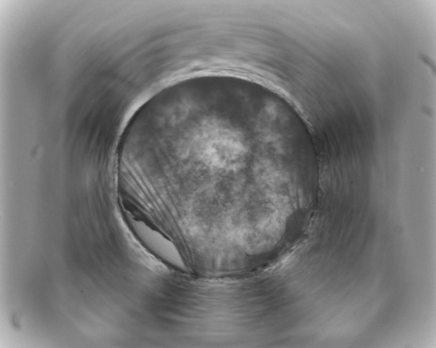 X0000097951522200804211023