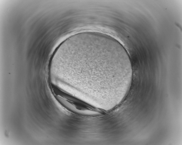X0000097951523200804211023