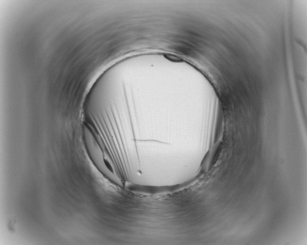 X0000097951524200804211023