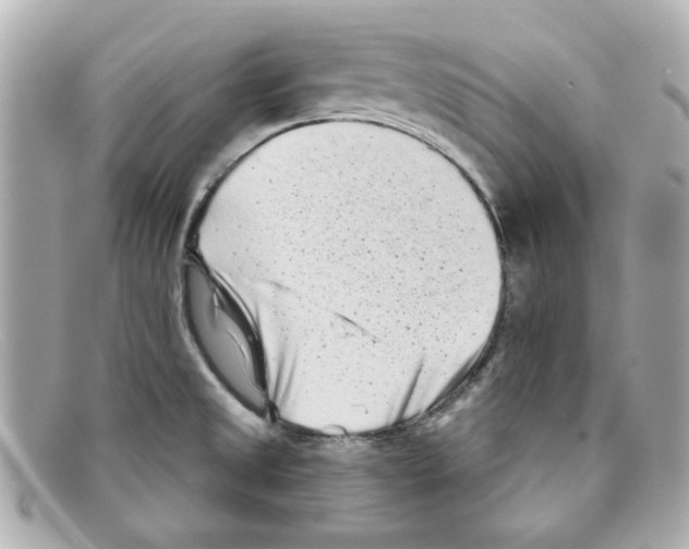 X0000097951525200804211023