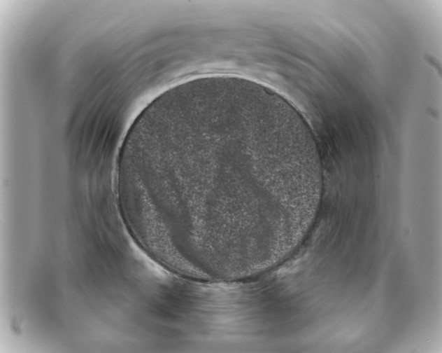 X0000097951527200804211023