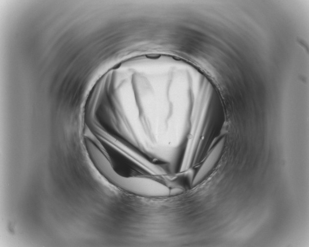 X0000097951528200804211023