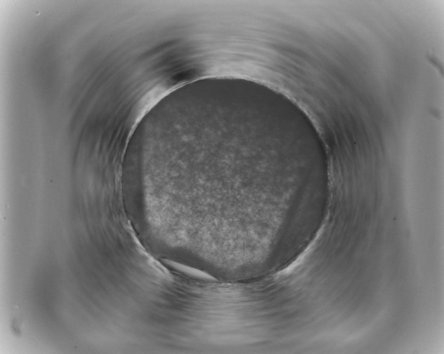 X0000097951529200804211023