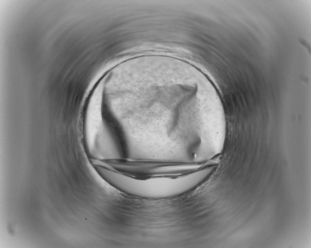 X0000097951531200804211023