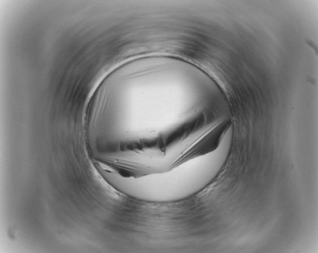 X0000097951532200804211023