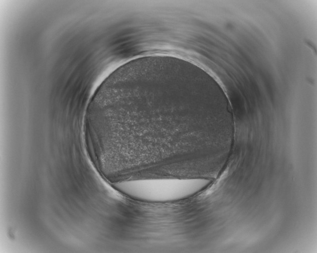 X0000097951533200804211023