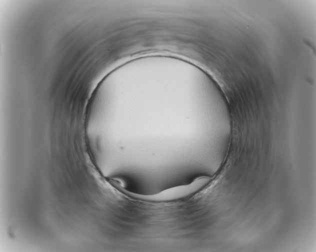 X0000097951534200804211023