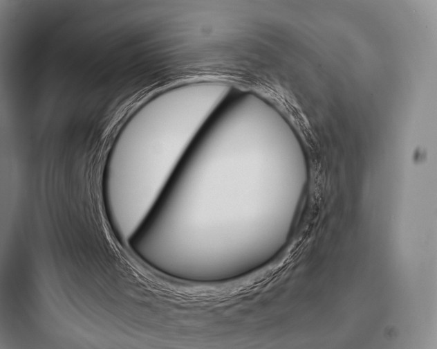 X0000097960001200803241052