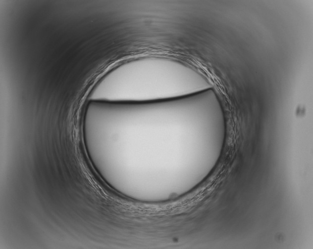 X0000097960002200803241052