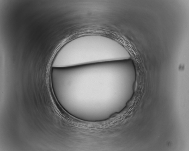 X0000097960003200803241052