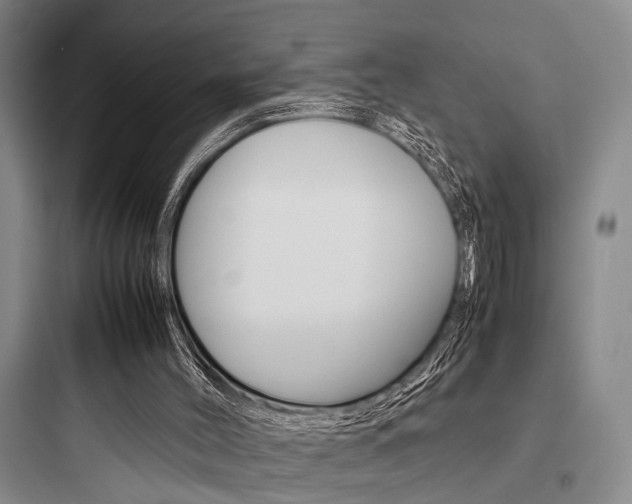 X0000097960004200803241052