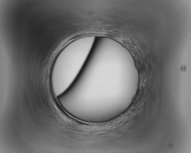 X0000097960005200803241052