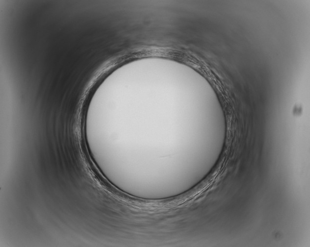 X0000097960006200803241052