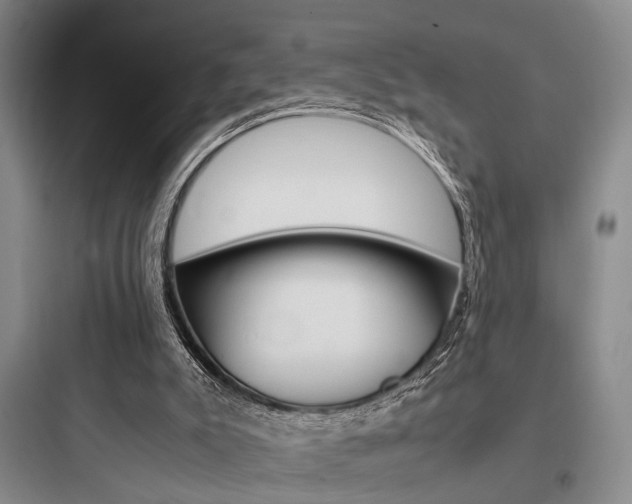 X0000097960007200803241052