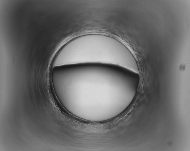 X0000097960008200803241052