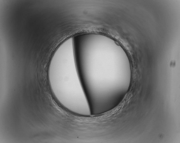 X0000097960009200803241052