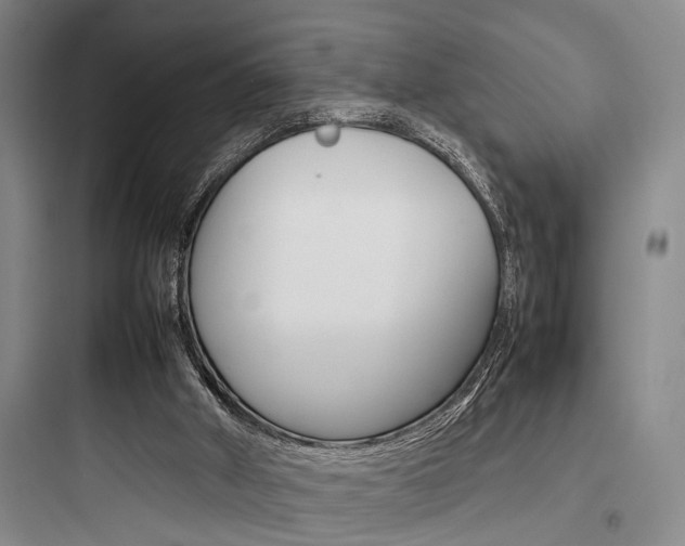 X0000097960010200803241052